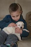 ENFANT ET CHIEN 466
